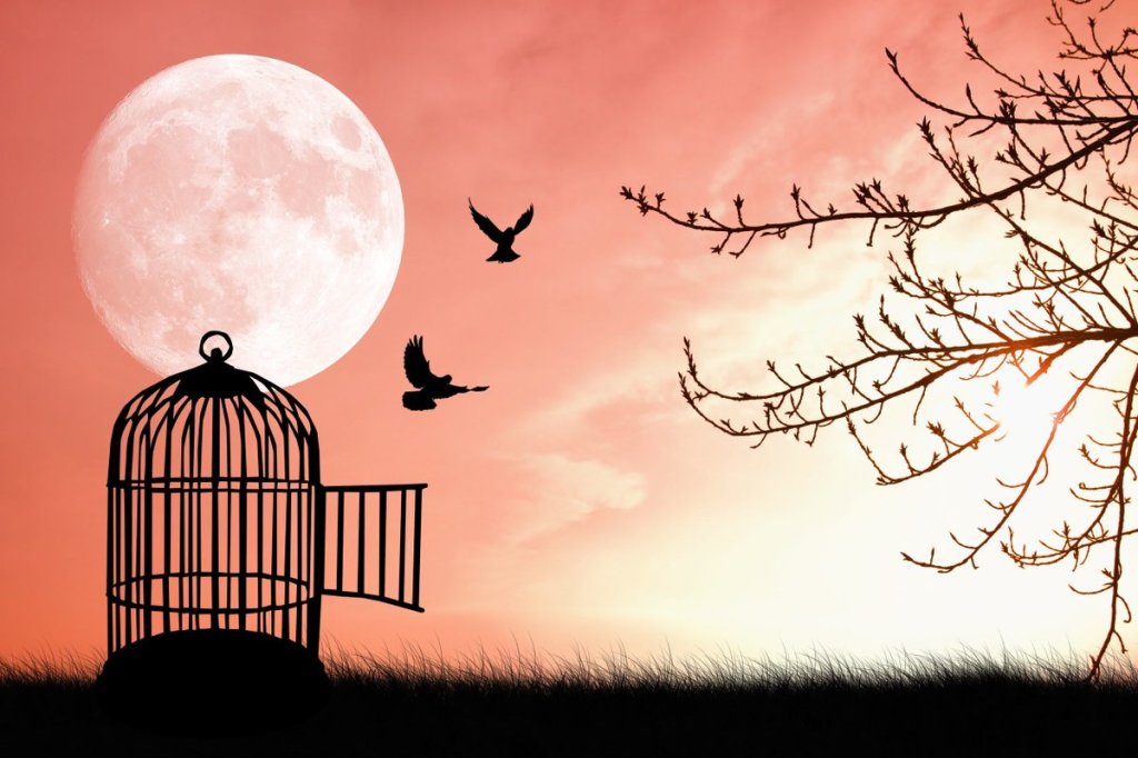 Gerçek Engel, Hakikati İdrakten Yoksun&nbsp;Olmaktır